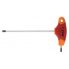 Torx UNIOR s T rukoväťou T10