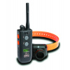Dogtra 2500T&B