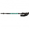 Fizan Trekové hole Compact 4 Barva (vzor): water green