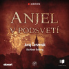 Anjel v podsvetí - Juraj Červenák (mp3 audiokniha)