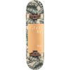 Globe - G2 Mod Log - Hurricane Leaves 8.25