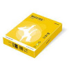 MAESTRO color INTENSIV 80g 500 listov Mustard - IG50