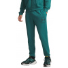 Under Armour | UA Rival LW Graphic Jogger | zelená| S