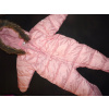 Detská kombinéza - Kaphahl 68 zimné kombinézy (Kaphahl 68 cm kombinézy na Fleece New Slider!)