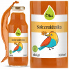 Sok z rakytníka pre deti proti prechladnutiu, odolnosť 100 % prírodný, 300 ml