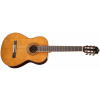 Tanglewood EM D3