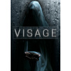 Visage - Steam PC