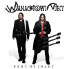 Wanastowi Vjecy • Best Of 20 let