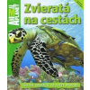 Zvieratá na cestách - Dwight Holing