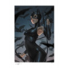 Sideshow Collectibles DC Comics Art Print Catwoman 61 x 46 cm - unframed