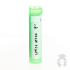 Urtica Urens gra.1 x 4 g 5CH