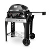 Weber SMART Pulse 2000 s vozíkom Weber