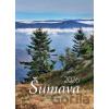 Šumava velký nástěnný 2026