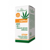 Cannaderm Vlasové sérum seborea Capillus 40 ml