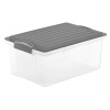 Rotho úložný box COMPACT 13L - šedá