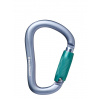 Karabína Black Diamond Rocklock Triple Lock Carabiner - gray
