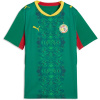 Puma Kids Senegal Away Shirt World Cup 2026™ Green/Red 9-10 rokov