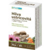 VITAR s.r.o. PLUS LEKÁREN Hliva ustricovitá cps (+ Echinacea + rakytník + selén + zinok) 1x60 ks