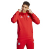 adidas FC Bayern Dna Hoodie M HY3291 (188004) Black/Green L