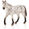 Animal Planet Appaloosa žrebec