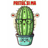 Nažehľovačka/DTF transfer Kaktus II Nálepka - výška: A5