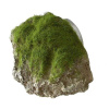 Europet Bernina Aqua Della Moss Stone S 12x9,5x10,5 cm