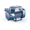 Pedrollo PQm PRO 81 230V