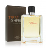 Hermes Terre d'Hermes toaletní voda pro muže 100 ml