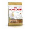 Royal Canin Suché krmivo pre psov ROYAL CANIN SHN Breed Labrador Junior - 12 kg