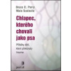 Chlapec, kterého chovali jako psa - Bruce D. Perry, Maia Szalavitz