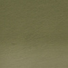 Akvarelová pastelka Derwent Watercolour - 49 Sap Green