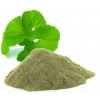 Ekokoza Brahmi prášok (bacopa monnieri), 100 g
