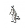 Animal Planet Lemur kata