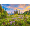 Castorland Blossom of Morning 2000 dielov