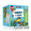 Kvído - Príroda v kocke - Albi