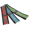 Posilňovacie gumy Hip band HMS HB12 3v1