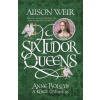 Mary Queen of Scots : And the Murder of Lord Darnley - Alison Weirová