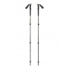 Trekingové palice Black Diamond Trail Trekking Poles - pine smoke