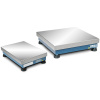 DINI ARGEO TG150 můstek do 150kg IP67 700x700 mm (Vážní můstek navržen pro použití ve vlhkém prostředí. Váživost do 150kg, IP67)