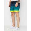 Billabong All Day Fade (black) M, zelená