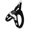 Postroj TRE PONTI do 6 kg zebra