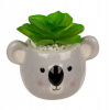 `Dekoratívna rastlina v kvetináči - koala alebo leňochod`
