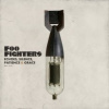 Foo Fighters - Echoes,Silence,Patience & Grace / Vinyl / 2LP [2 LP]