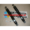 Citroen EVASION 7/94-11/02 zadné tlmiče Sada L+P /