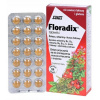 Salus Floradix Železo a Vitamíny 38,6 g 84 tabliet