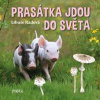 Prasátka jdou do světa - Radová Libuše