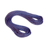 MAMMUT 9.0 Crag Sender Dry Rope ice-sunrice - 70 m