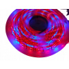 Osvetlenie pre rastliny - Rast pásových rastlín GROW vedený 3,5m IP65 Profesional (Osvetlenie pre rastliny - Rast pásových rastlín GROW vedený 3,5m IP65 Profesional)