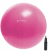 Klasická guľa HMS 55 cm ruže a purpurové (Gymnastická guľa 55 cm rehabilitácie + čerpadlo)