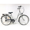 Mestsky bicykel - Storm Dublin 3s 26 